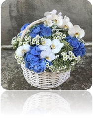 Best flowers for baby boy