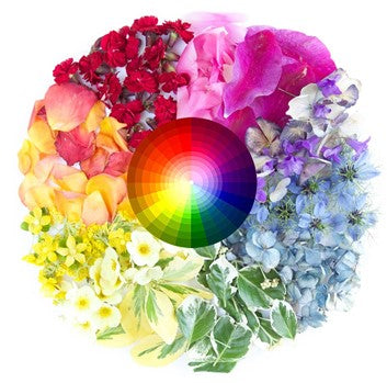 bouquet color combinations