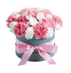 Flower represents love carnations