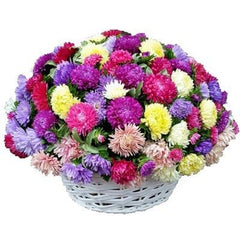 flowers for friendship