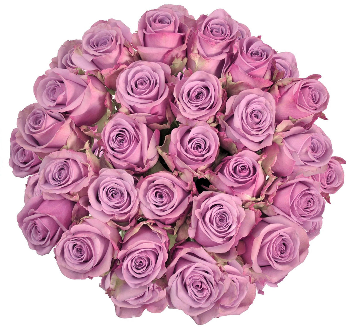 Lavender Moody Blues Roses – Flowers Box London