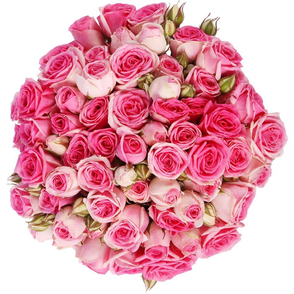 Pink Eden – Flowers Box London