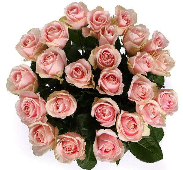 Sweet Pink Avalanche Roses Bouquet. Flowers delivery – Flowers Box London