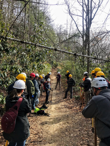 Pisgah National Forest