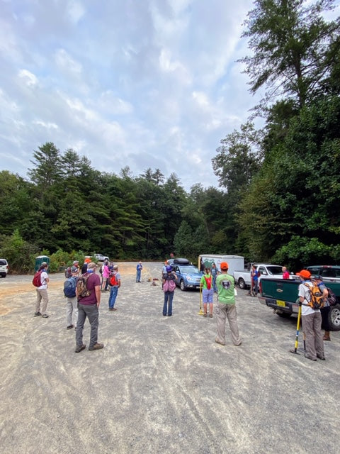 Dupont State Forest