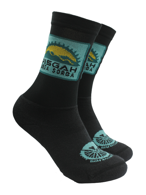 pisgah-area-sorba-tech-sock-padded