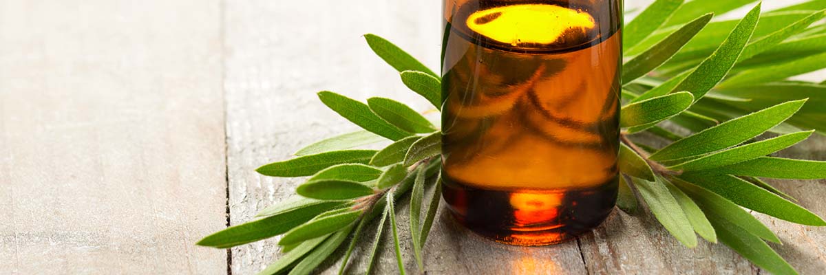 AMPERNA® Avoid Tea Tree Oil