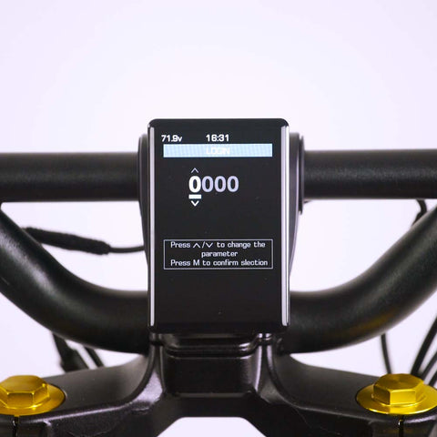 Écran du scooter électrique Wolf King GT, écran allumé, interface avec mot de passe