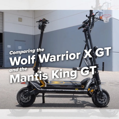 Mantis King GT vs. Wolf Warrior X GT