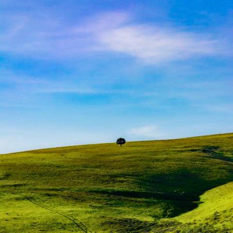 Environnement propre et verdoyant