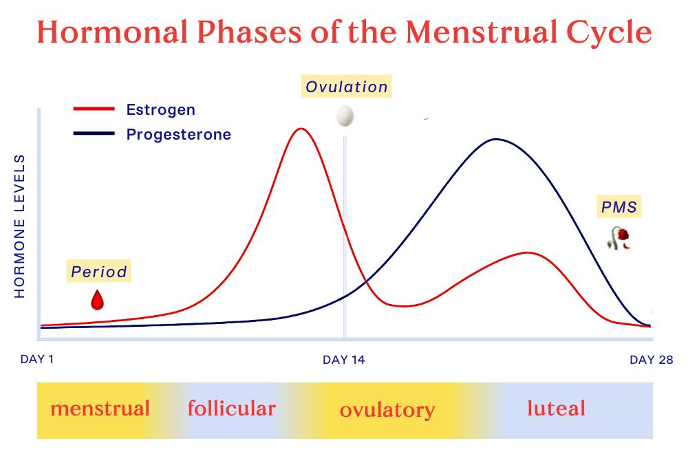 Journal Prompts for Each Phase of Your Menstrual Cycle – De Lune