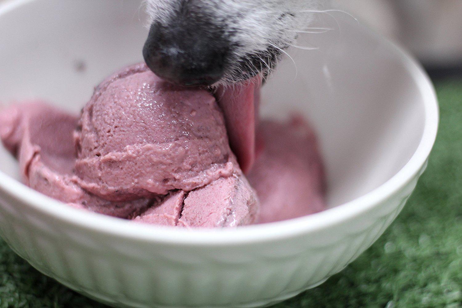 pet dairy supercow ice cream