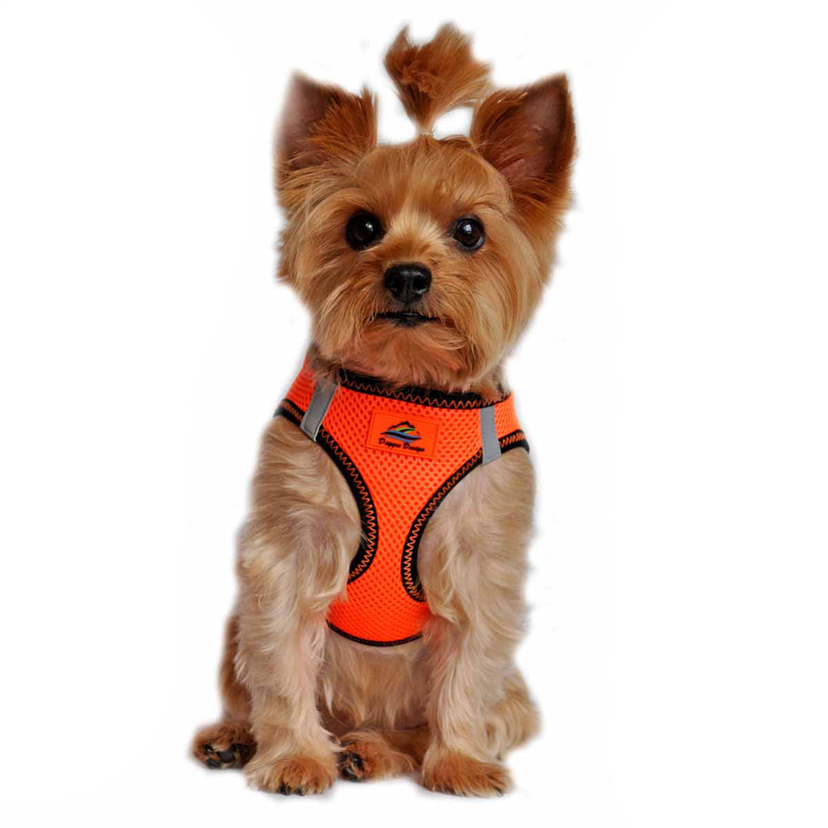 american river choke free dog harness