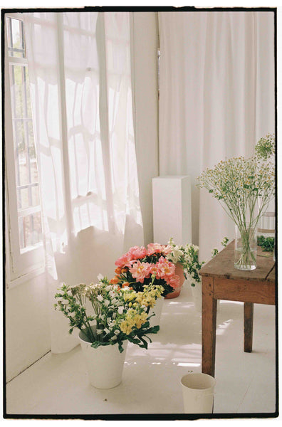 taller rodeado de flores