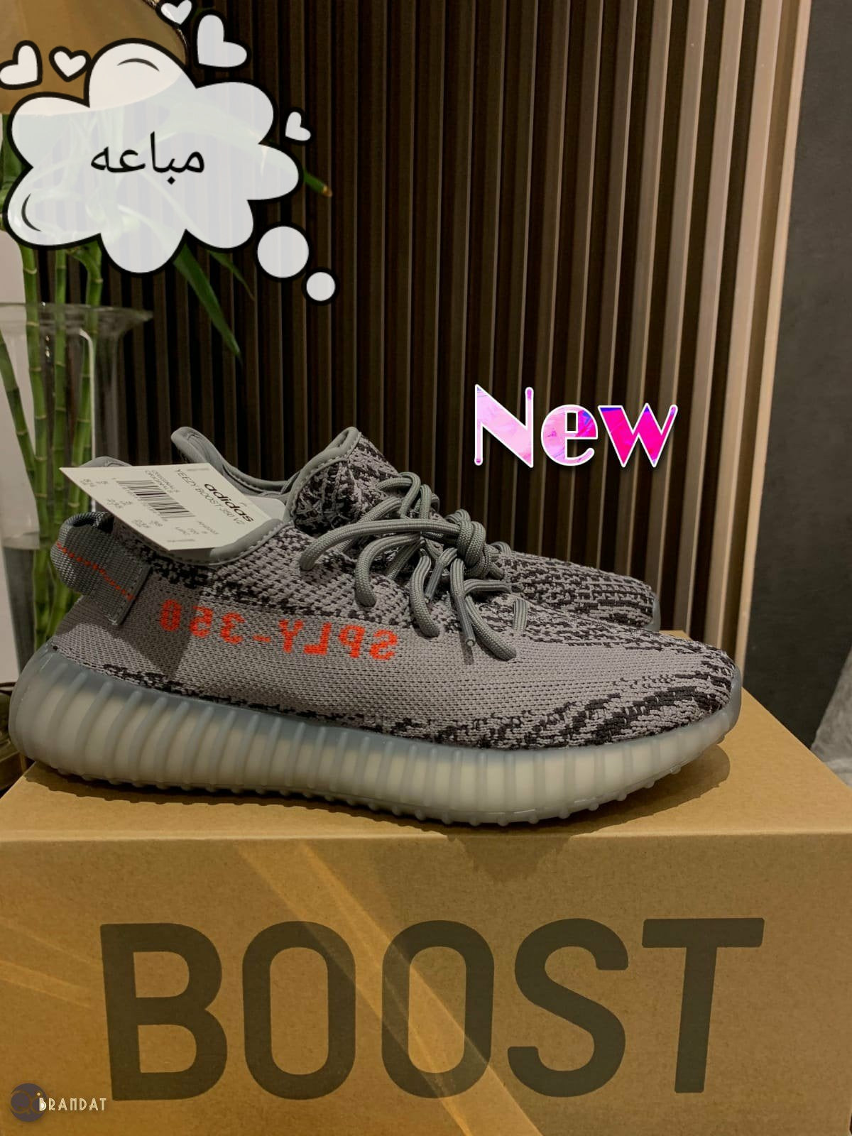 شوز ييزي 350