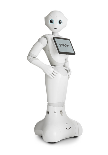 Programmable Humanoïd Robot NAO V6