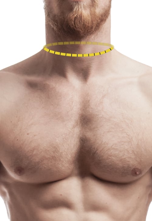 Size chart image of where to measure for a neck measurement