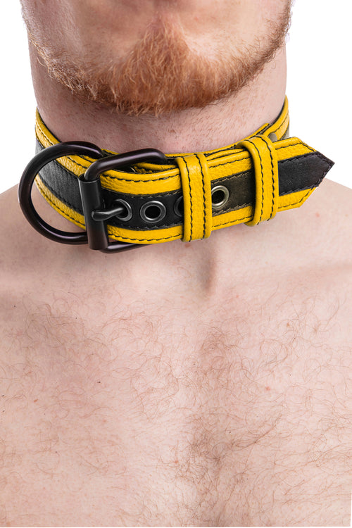 Handmade Leather Pup Collars, 6 Colours