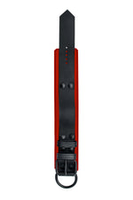 Red and black leather ankle restraint