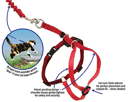 come with me cat harness