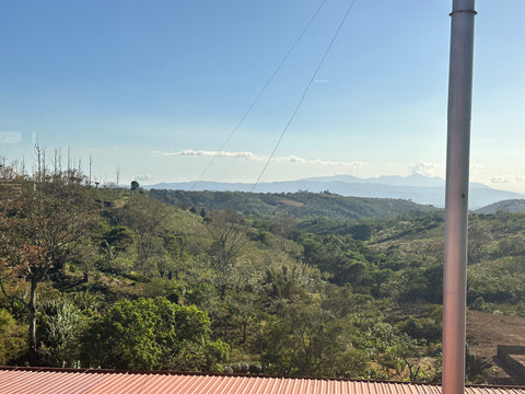 Visite de fermes productrices de café au Costa Rica