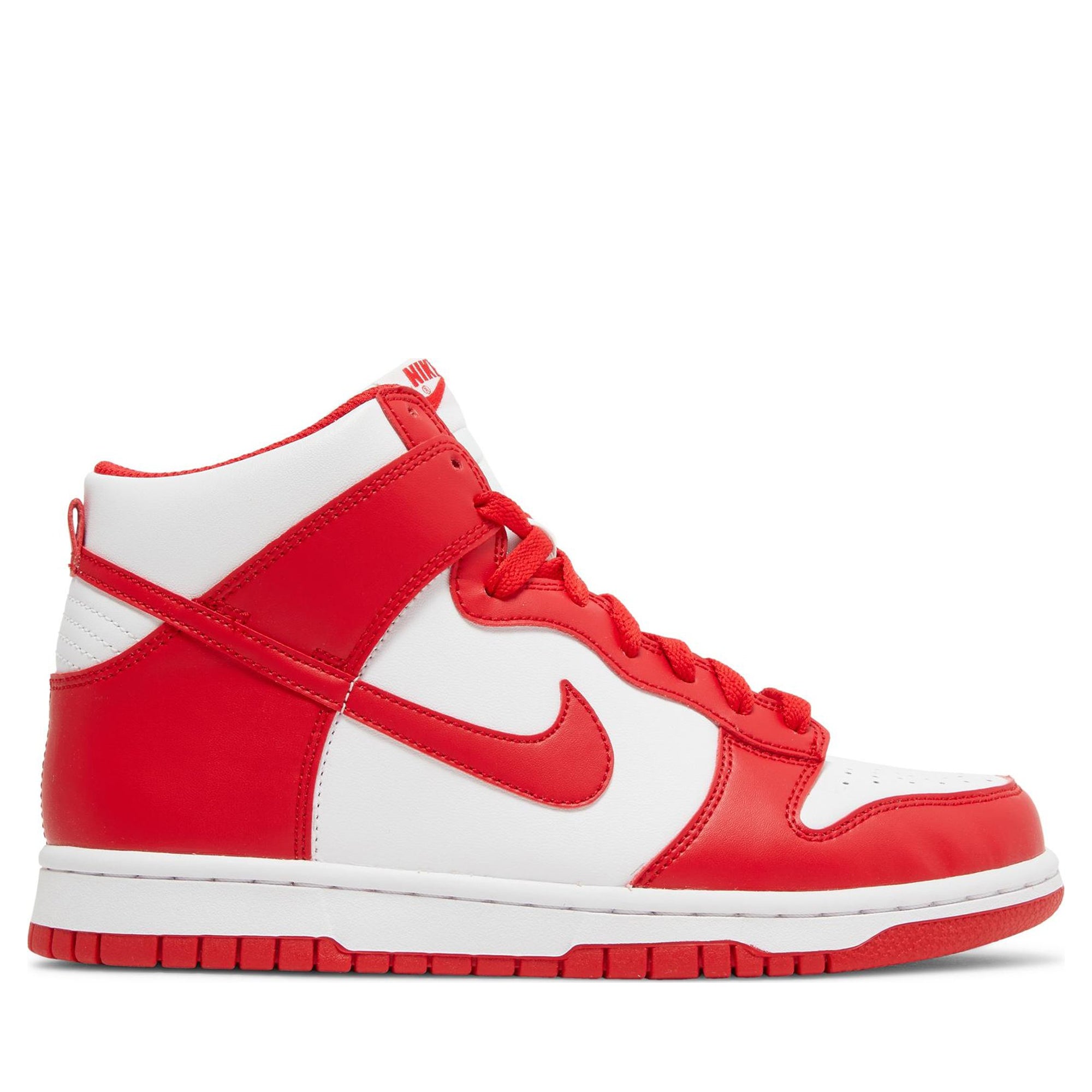 Nike Dunks Sneakers | PLUS