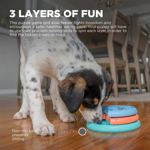 DIY Dog Boredom Buster  Interactive Dog Toy – DOGUE