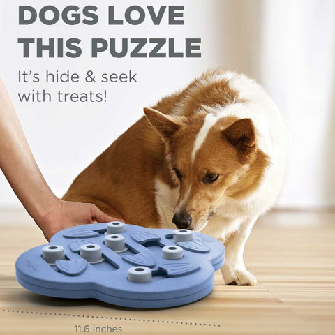 Boredom Busters- Nina Ottosson Puzzle's – PAWSITIVELY Pet and Training