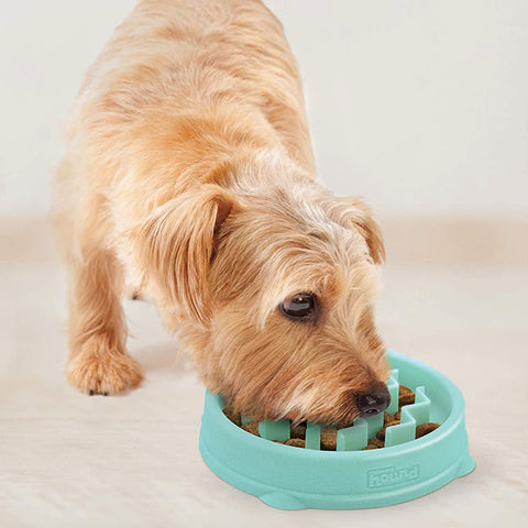 Outward Hound - Fun Feeder Slo Bowl Large / Orange