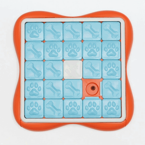 Nina Ottosson by Outward Hound Challenge Slider Interactive Dog Puzzle