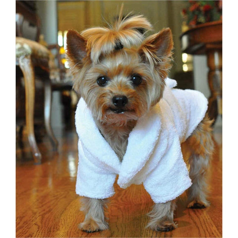 Soggy Doggy Super Shammy: Dog Towel - Beige Delivery in