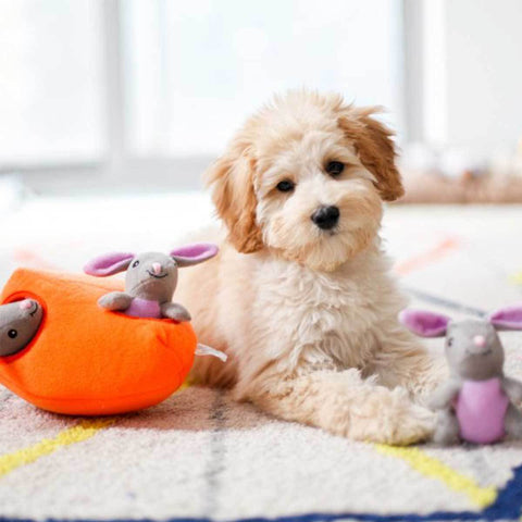 Burrow Toys for Dogs That Satisfy Their Digging Urges – Furtropolis