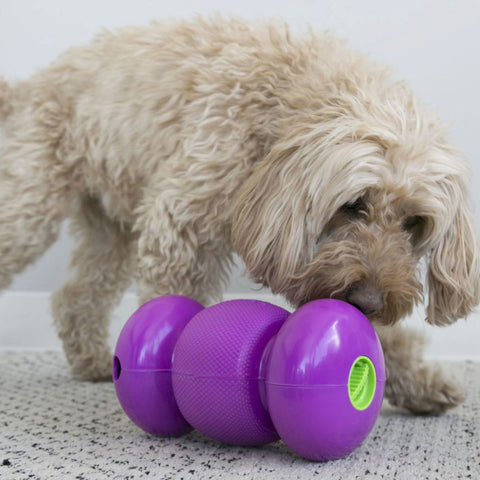 Treat Dispensing Puzzle - tinypawsboutique