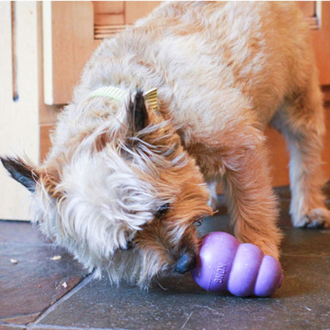 Liquid Dog Treat Dispenser For Use With Peanut Butter & More