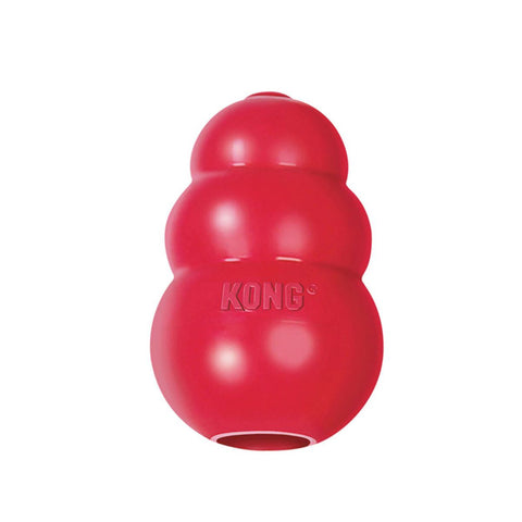 Kong Rewards Shell Small Bouncy Treat Dispensing Puzzle Dog Play Toy