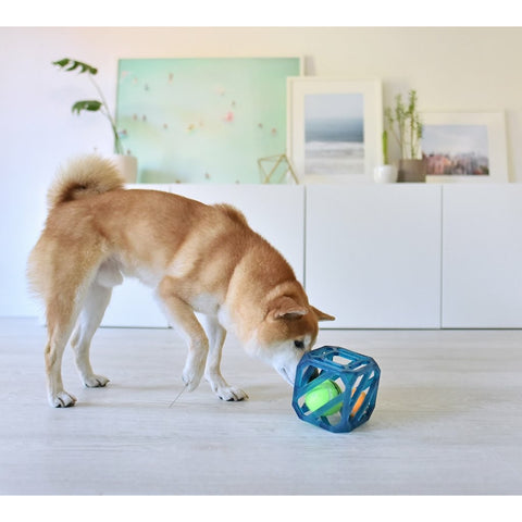 Interactive Dog Toys: Brain Games for Smart Pooches - DogiZone