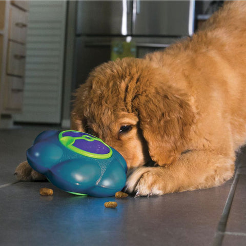 Interactive Dog Toys: Brain Games for Smart Pooches - DogiZone