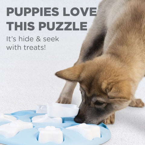 https://cdn.shopify.com/s/files/1/2482/9682/products/puppy-smart-dog-puzzle-4_large.jpg?v=1610043179