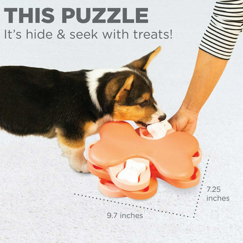 Hide N' Seek Cube Dog Puzzle Toy