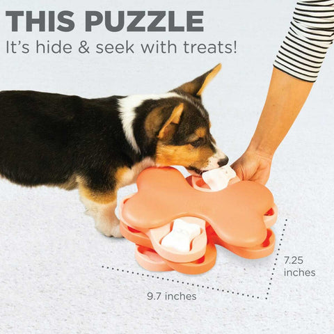 12 Interactive Dog Toys and Puzzles for the Smartest Pets of Them All