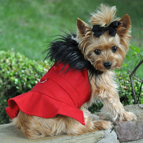 Red Paw Yorkshire Terrier Jacket