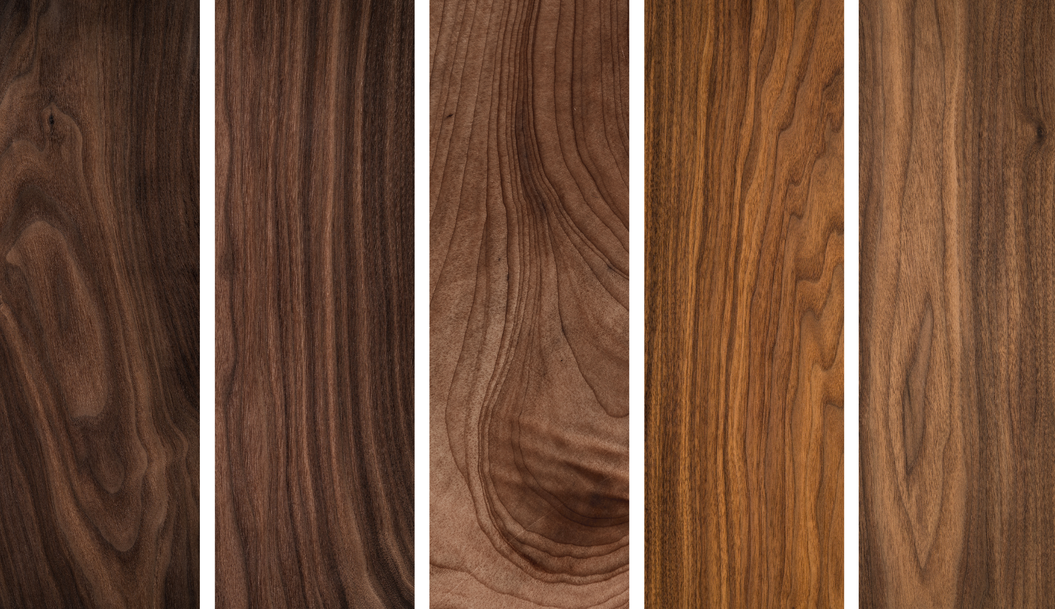 Walnut wood has a range of natural brown tones and grain patterns