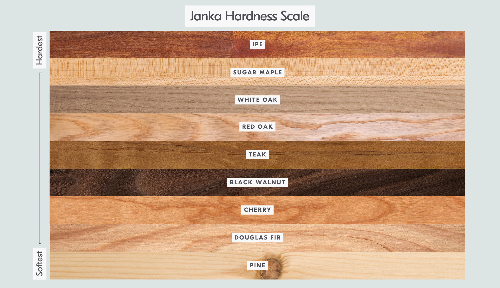 White oak ranks highly on the Janka Hardness Scale, making it a durable species of wood