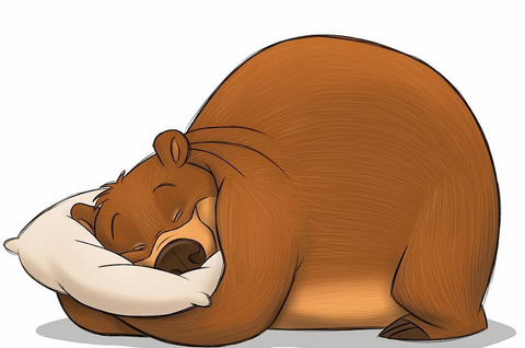 Sleep Like a bear