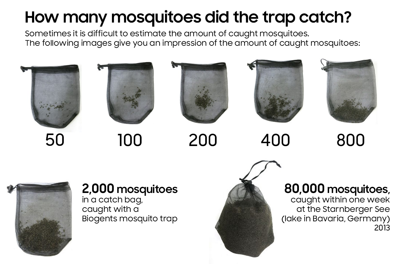 How many mosquitoes did the trap catch?