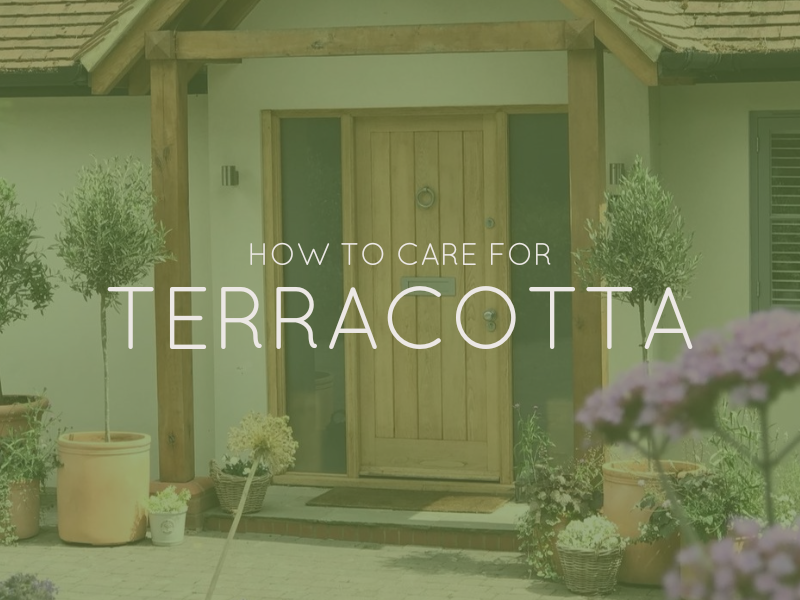 How to care for Terracotta