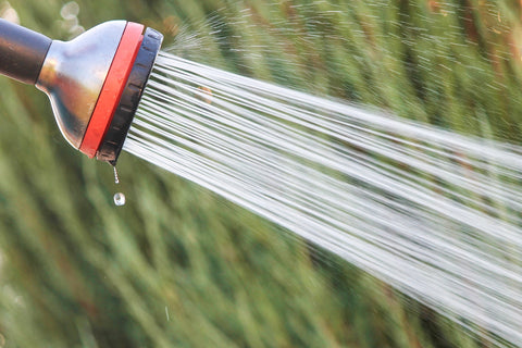 Watering garden