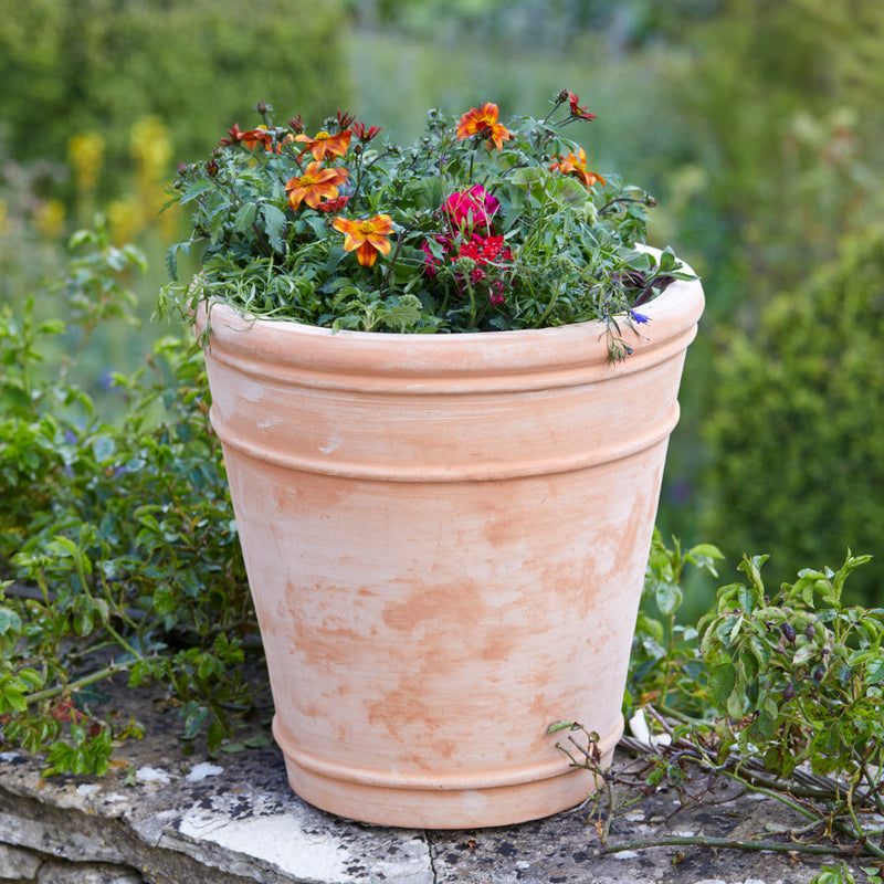 Tullia XXL Terracotta Garden Pot | 5 Sizes | Gardenesque