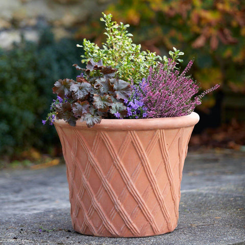 Advantages of clay pots and plastic pots