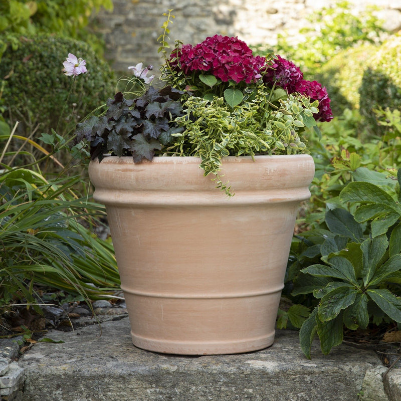 Bordo English Garden Extra Large Terracotta Pot | Gardenesque